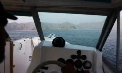 إغلاق هرمز.. توقف أكثر من 150 ناقلة وارتفاع تأمين الشحن 50%